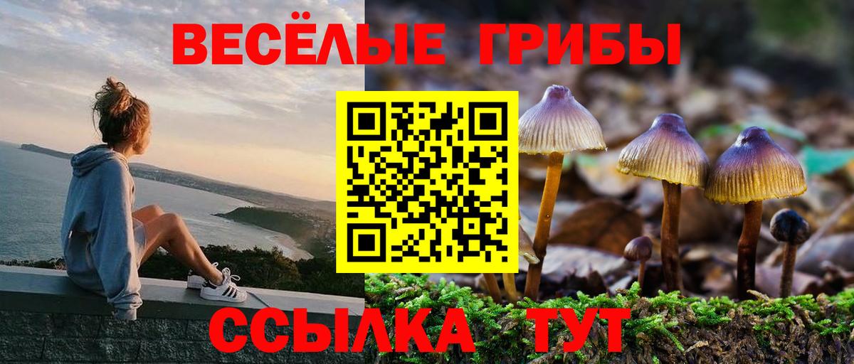 Уссурийск  сколько стоит  Вход с VPN  Псилоцибиновые грибы Psilocybe 